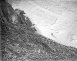 [Birds on Helmet Glacier in Garibaldi District]