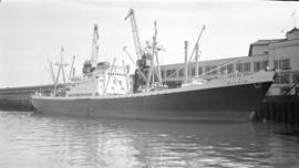 M.S. Silvia [at dock, at Pier "B"]