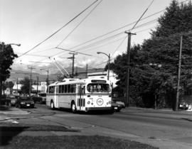 Alma Street, southbound at 11th Avenue