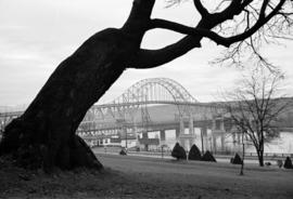 [View of the Pattullo Bridge]