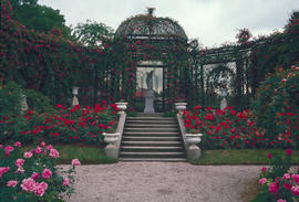 Gardens - Europe - France : L'Hay-Les-Roses