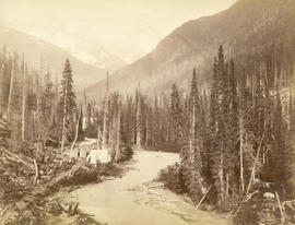 Illecillewaet River and Sir Donald Peak, view at loop