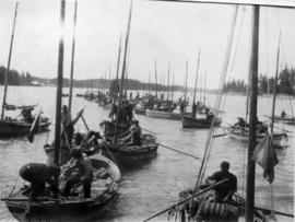 [Fishing fleet near] North Pacific Cannery