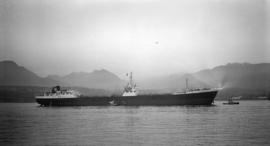 M.S. Bertha Entz