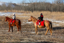 Day 75 Olympics horses in Moosomin, Saskatchewan