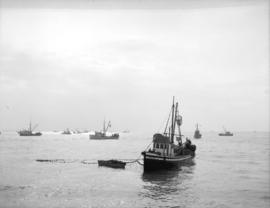 Sockeye seine fishing