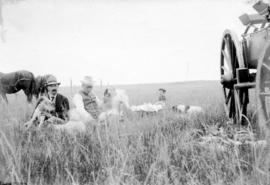 Three men in field with dogs and horses