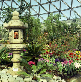 MacMillan Bloedel Conservatory