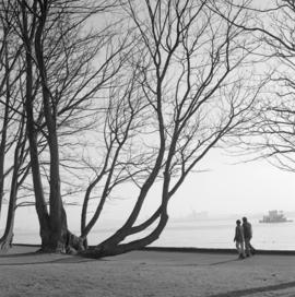 [Couple walking along sea wall at] Hallelujah Point