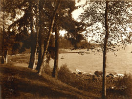 [View of rocky beach]