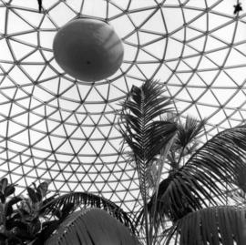 MacMillan Bloedel Conservatory