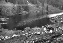 [South end of Phyllis (Mackay) Lake from B.C.E. Road]