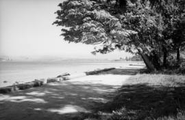 Seawall with Brockton Point in the background