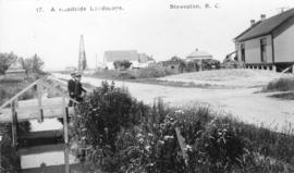 A Roadside Landscape Steveston, B.C.