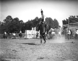 Stampede at Vancouver Exhibition [bucking bronco]