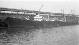 S.S. Cape Corso [at dock]