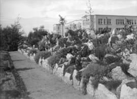 [Rock garden at U.B.C.]