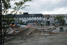 False Creek - Cleanup progress #4 [6 of 19]