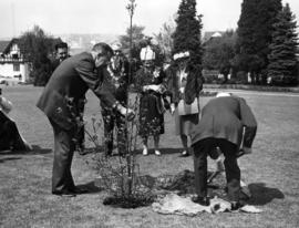 Planting of anniversary dogwood on City Hall grounds