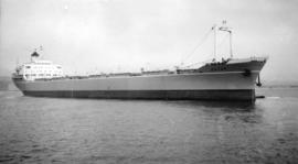 M.S. Kotor