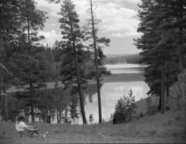 Aspen Grove : log garage in making, cattle on road, Courtney Lake, Loon Lake, Kentucky Lake, Alee...