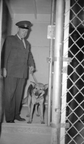 [Dog and handler inside cage at the new City Pound]