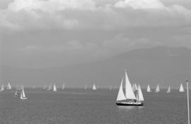 Regatta, English Bay