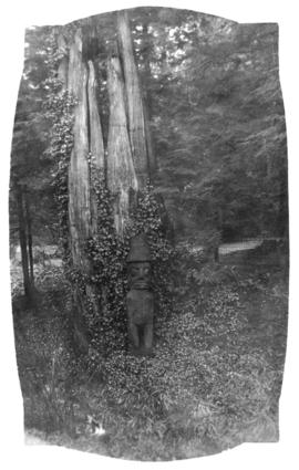 [Small totem pole figure in front of decaying tree trunk, Stanley Park]