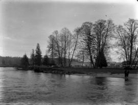 Courtenay River [on] Vancouver Island