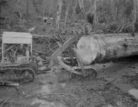 Logging : Queen Charlotte Island : Pacific Mills