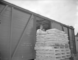 [Men loading goods into a railway car at Evans, Coleman and Evans Ltd.]