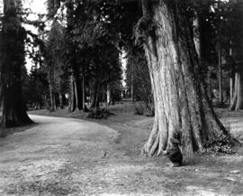 [Child feeding bird in Stanley Park]