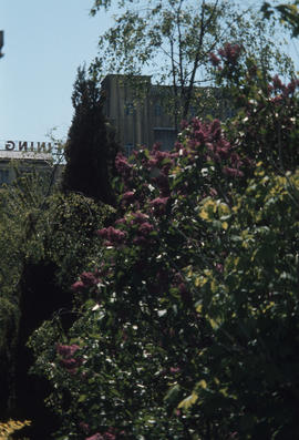 BC Sugar, exterior factory views