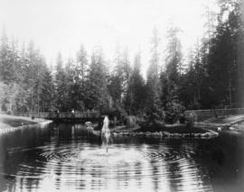 Swan Pond, Stanley Park, Vancouver, B.C.