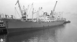 M.S. La Plata Maru [at dock]