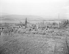 [View of Burnaby Lake from Sperling Avenue]