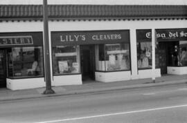 [6085 West Boulevard - Lily's Cleaners]