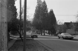 Ontario Street and West 45th Avenue, looking south - Cedar (same trees as frame 8A)