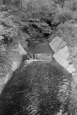 Musqueam Creek, near where it crosses Crown St.