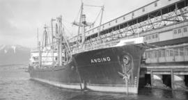 M.S. Andino [at dock]