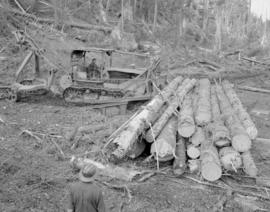 Pacific Mills : Queen Charlotte Island : bundling timber