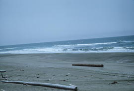 Beach at Long Beach