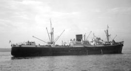 M.S. King George