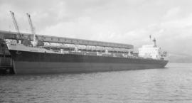 M.S. Amorgos [at dock]