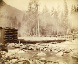 [Capilano Creek Dam]