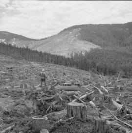 Comox Logging for Elk Falls Co. : Vancouver Island