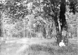 [James Crookall sitting under a tree]