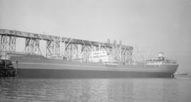 M.S. Antonios Demades [at United Grain Growers' dock]