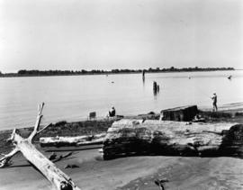 Relaxed fishing in Fraser Arm