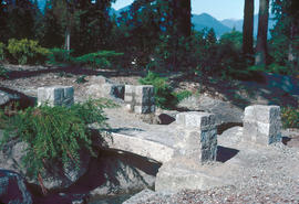 Historical : Sino-Himalayan garden, bridge construction